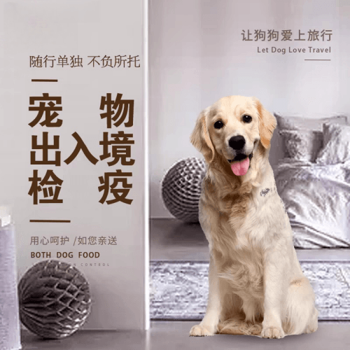 红河州宠物托运到哥伦比亚猫狗宠物入境规定和