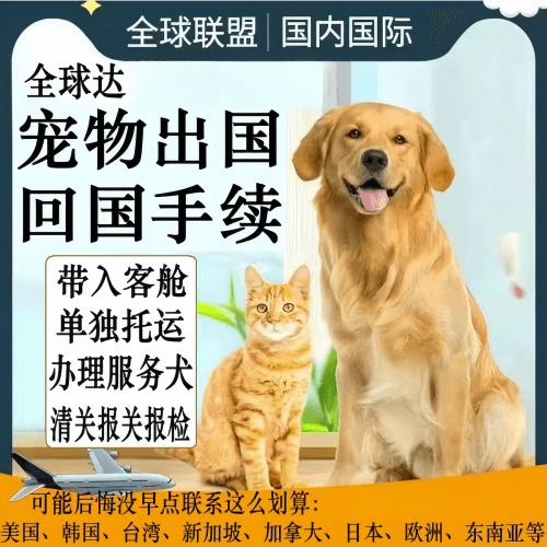 红河州宠物托运到柬埔寨宠物入境规定和要求